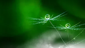 苹果imac极致景色壁纸_4