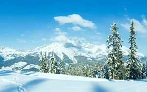 沁人心扉雪山壁纸_4