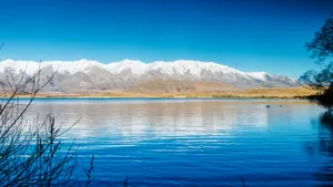 新西兰白鹭湖风景壁纸_2