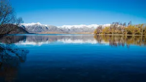 新西兰白鹭湖风景壁纸_7