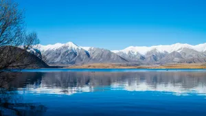 新西兰白鹭湖风景壁纸_8