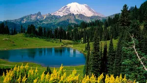 自然山水风景图片_7
