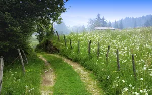 山间小路风景壁纸_4