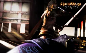 Guildwars 第三辑_6