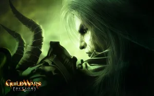 Guildwars 第三辑_9