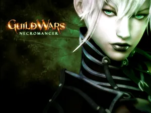 Guildwars 第一辑_3