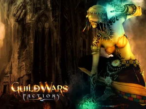 Guildwars 第一辑_4