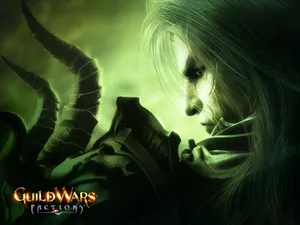 Guildwars 第一辑_5