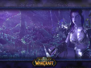 Warcraft 第一辑_9