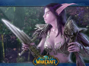 Warcraft 第一辑_12
