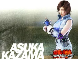 Tekken5 第一辑_5