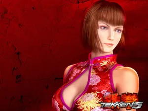 Tekken5 第一辑_13