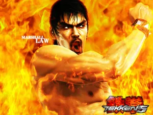 Tekken5 第一辑_16