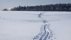 野外滑雪场图片_6