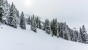 野外滑雪场图片_7