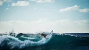 惊险的海上冲浪图片_5
