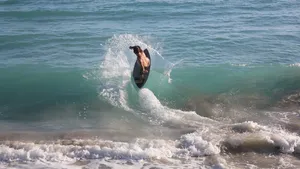 海上冲浪运行图片_6