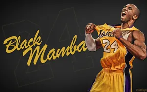 篮球运动员NBA球星科比图片壁纸_9