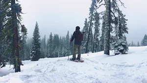 滑雪运行图片_4
