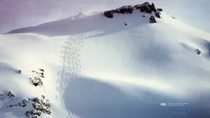 滑雪运动桌面壁纸_9