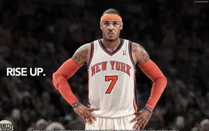 NBA小甜瓜卡梅隆·安东尼图片壁纸_14