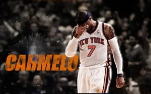 NBA小甜瓜卡梅隆·安东尼图片壁纸_17