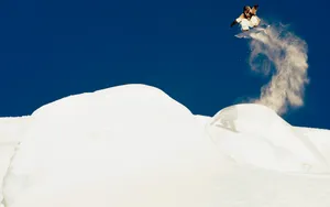 滑板滑雪极限运动壁纸_4