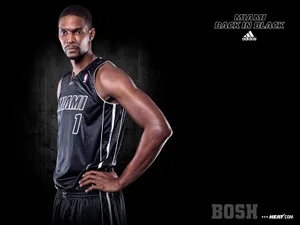 NBA热火队2011-12赛季壁纸_2