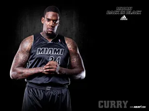 NBA热火队2011-12赛季壁纸_5
