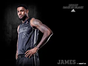NBA热火队2011-12赛季壁纸_9