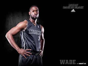 NBA热火队2011-12赛季壁纸_13