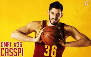 NBA骑士队2011-12赛季壁纸