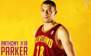 NBA骑士队2011-12赛季壁纸_9