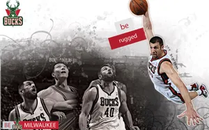 NBA雄鹿队2011-12赛季壁纸_7