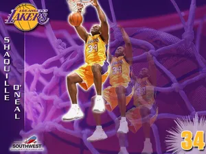 NBA扣篮 第一辑_9