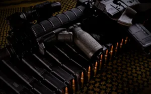 AR-15自动步枪图片_5