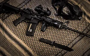 AR-15自动步枪图片_10