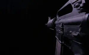 AR-15自动步枪图片_14