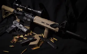 AR-15自动步枪图片_15
