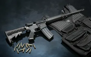 AR-15自动步枪图片_20
