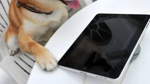 ipad高清壁纸_5