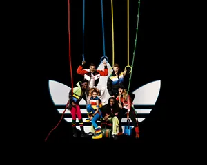adidas 第一辑_19