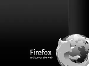 Firefox 第二辑_10