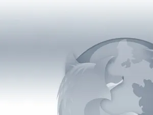 Firefox 第二辑_11