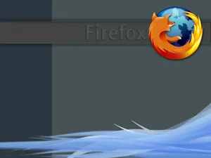 Firefox 第二辑_16