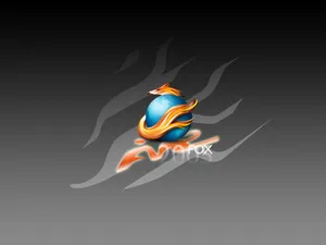 Firefox 第一辑_3