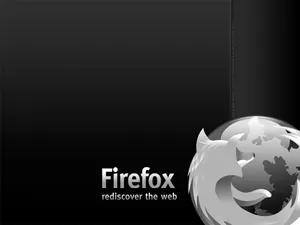 Firefox 第一辑_13