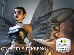 nVIDIA 第一辑_5