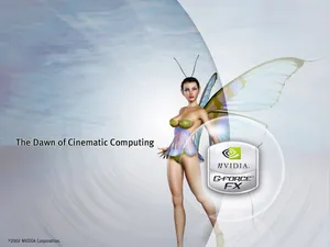 nVIDIA 第一辑_7