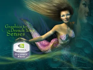 nVIDIA 第一辑_9